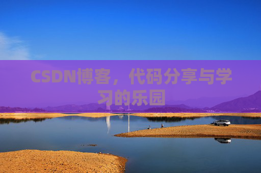 CSDN博客，代码分享与学习的乐园